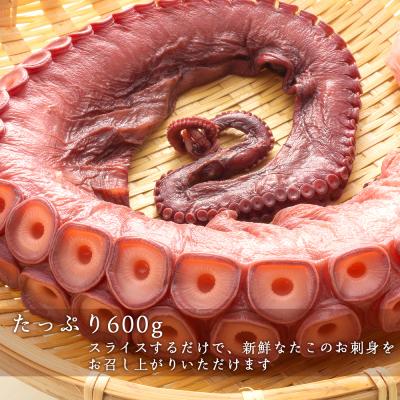 ふるさと納税 余市町 北海道産 やわらか煮 たこ足(約600g)_Y020-0428