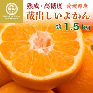 [予約 1月15日-2月28日の納品]   熟成 蔵出しいよかん 約1.5kg 愛媛県産 果実専用箱 高糖度 甘い 柑橘 みかん 伊予柑