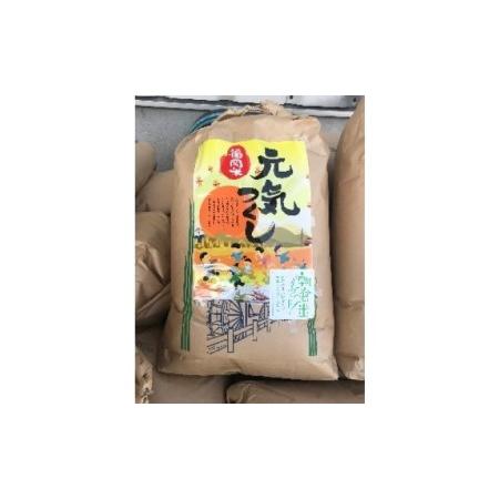 ふるさと納税 「元気つくし」玄米30kg 福岡県朝倉市