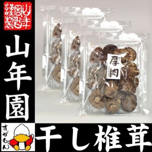 干ししいたけ 国産 厚肉 120g×3袋セット 干し椎茸 乾燥 国産 お返し 還暦祝 送料無料 お茶 お歳暮 2023 ギフト プレゼント 内祝