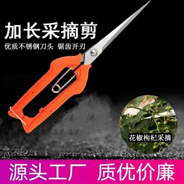 🔥slk嚴選🔥 加長枸杞花椒採摘剪園藝修枝剪刀葡萄剪子蔬花樹枝長嘴剪子加長型604嚴選