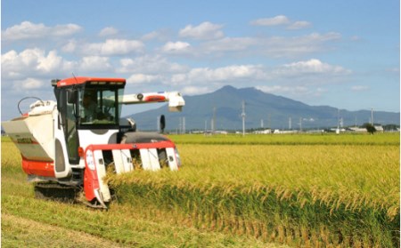 13-MT3茨城県産ミルキークイーン12kg（5kg×2袋、2kg×1袋）