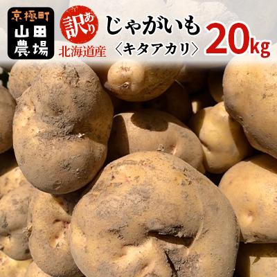 ふるさと納税 京極町 訳あり 北海道産じゃがいも〈キタアカリ〉20kg 山田農場[No.5225-0147]