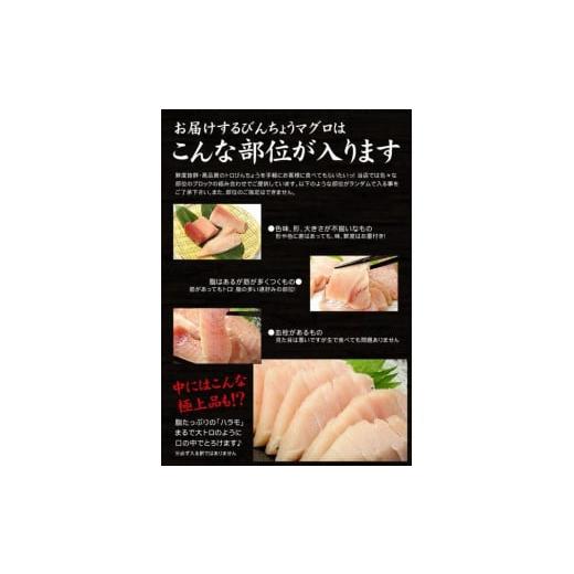 ふるさと納税 福島県 いわき市 トロびんちょう鮪1kg（500g×2パック）ねっとりとした食感のびんトロ！解凍レシピ付　可食部ほぼ100％