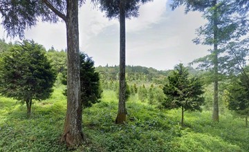 苗栗南庄向天湖農牧用地/原保地｜苗栗縣南庄鄉北獅里興段獅頭驛小