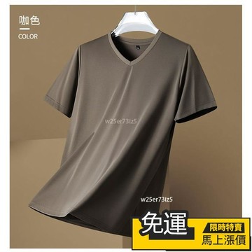 🔥台灣熱賣🔥超彈力涼感衣 男士薄款T恤 v領短袖 冰絲短袖t恤 高檔桑蠶絲V領短袖素t夏季薄款純色鷄心領冰絲體恤抗皺
