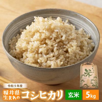 ふるさと納税 越前町 令和5年産　コシヒカリ(玄米)　5kg