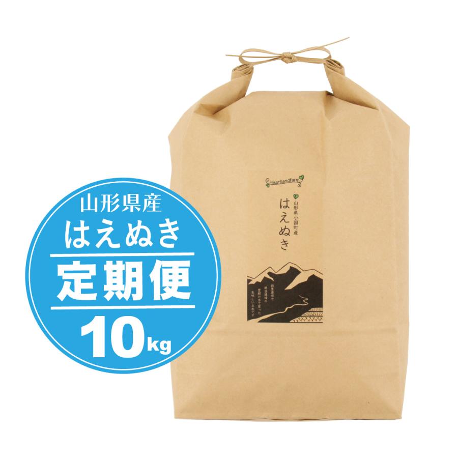 新米 定期便 定期購入 はえぬき お米 10kg 山形県 令和5年産 精白米 送料無料（一部地域を 除く）