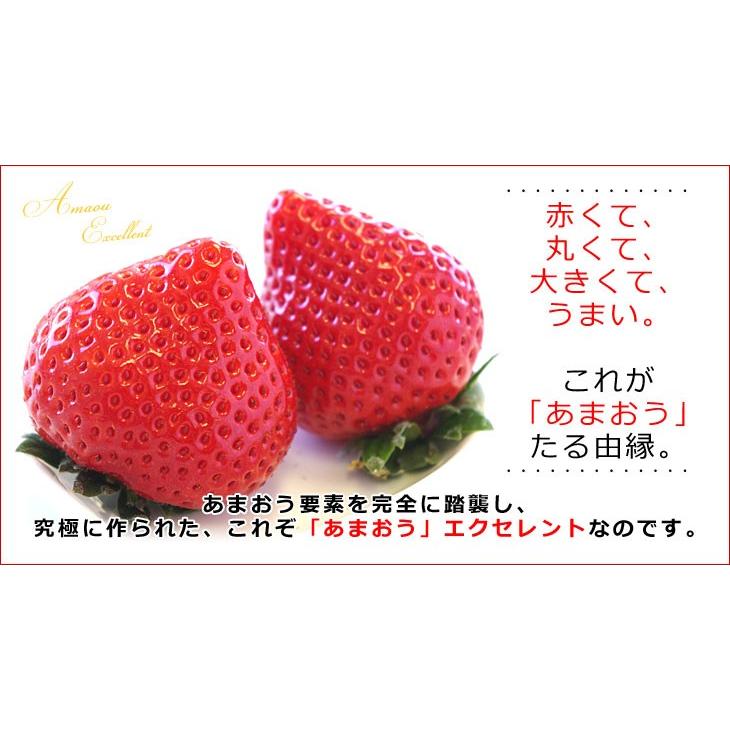 福岡県より産地直送 JAくるめ あまおういちご EX:最上級品エクセレント 420g(12粒から15粒) 苺 いちご イチゴ ストロベリー