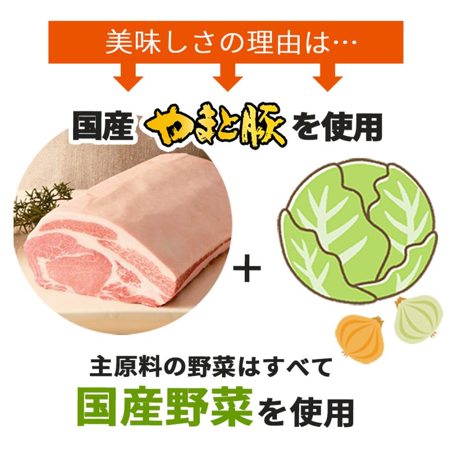 やまと豚 大粒肉焼売 20個 [冷凍] 焼売 シュウマイ 冷凍食品 お取り寄せ 業務用 冷凍 中華 おせち 食品 食べ物 セット ギフト 内祝い お返し 誕生日 出産