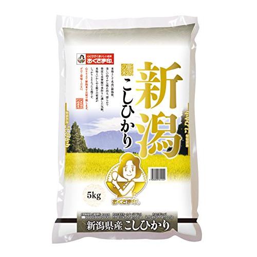 新潟県産 白米 こしひかり 5kg 令和4年産