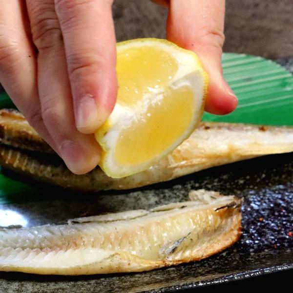 こまい 一夜干し 生干し 北海道産 1kg 送料無料 氷下魚（こまい） 別途送料が発生する地域あり