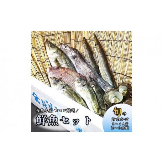 ふるさと納税 神奈川県 横須賀市 魚 旬のおまかせ 鮮魚 セット 3〜4人前(2〜３魚種) 厳選 とれたて 海鮮 魚介類 お魚 長井水産 季節 詰め合わせ 海鮮セット お…