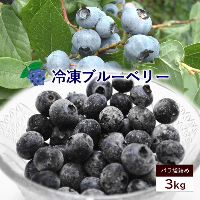 送料無料　国産冷凍ブルーベリー 3kg 　山形県産　ブルーベリー　フルーツ