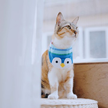 寵物領巾-企鵝-隨機配色