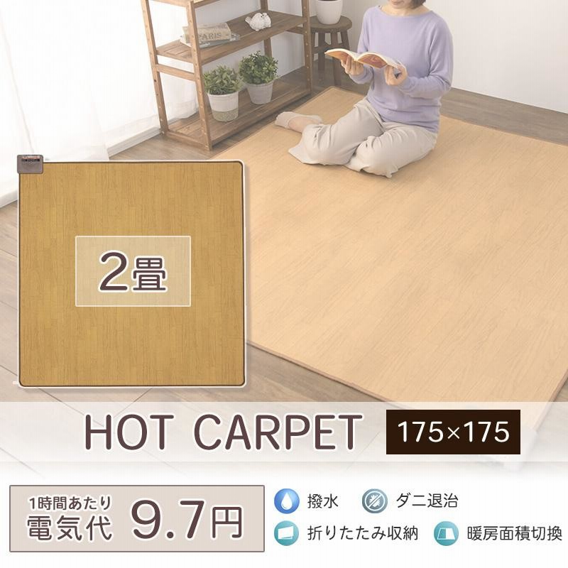 電気カーペット 2畳 電気代 ホットカーペット 防水 日本製 温度調節 175×175cm フローリング調 木目調 カーペット ラグ 省エネ 床暖房  正方形 テクノス | LINEブランドカタログ