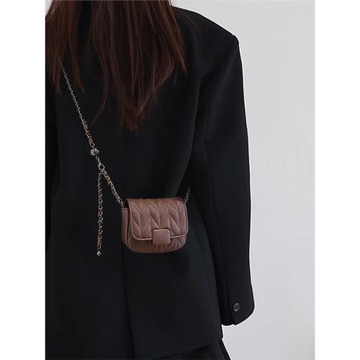 超火精致迷你鏈條小包包女秋冬2025新款輕奢小眾高級感手機斜挎包