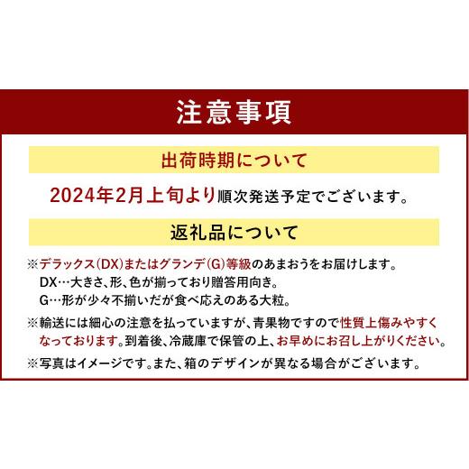 ふるさと納税 福岡県 太宰府市  福岡産あまおう3パック いちご フルーツ デザート