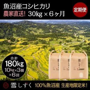 ふるさと納税 定期便！魚沼産コシヒカリ毎月30kg×6回 新潟県十日町市