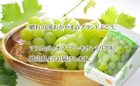 マスカット・オブ・アレキサンドリア 約600g×1房 ぶどう 葡萄 岡山県産 2023年9月上旬～9月下旬発送分