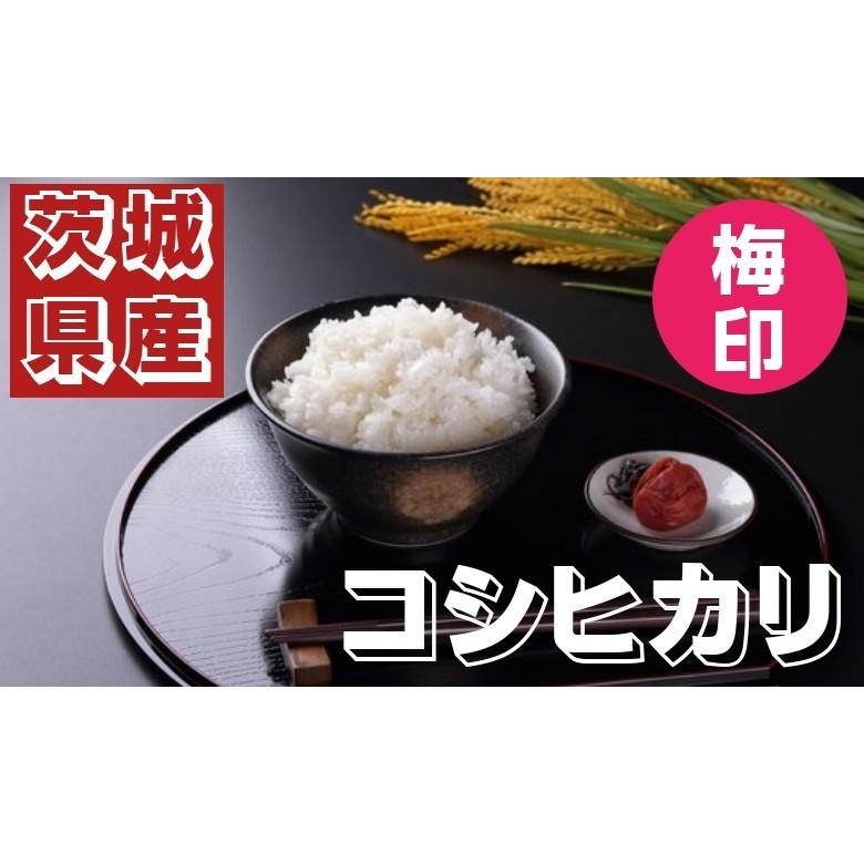 新米 米 10kg お米 コシヒカリ 業務用  茨城県 白米 5年産  送料無料 一部地域除く 梅印