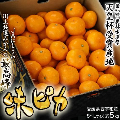 愛媛県産 川上みかん 『味ピカ』JAにしうわ 川上共選 S〜Ｌサイズ 約5kg (風袋込) ※常温 送料無料