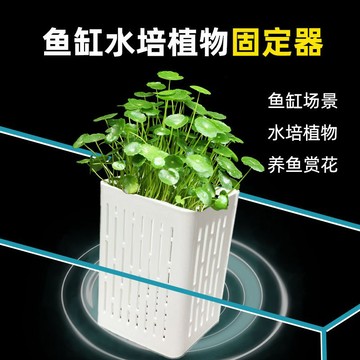 挑戰最低價 魚缸定植盆 台灣發票現貨 水族 魚缸 水草 造景 裝飾 水培 水培盆
