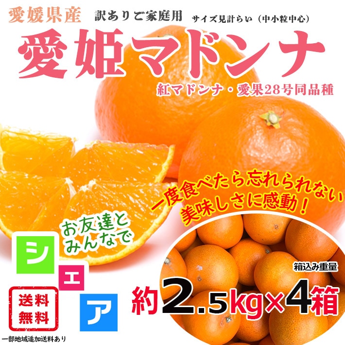 愛媛県産 愛姫まどんな(通称：紅まどんな) 2.5kg (4箱) 訳あり サイズおまかせ 産地直送