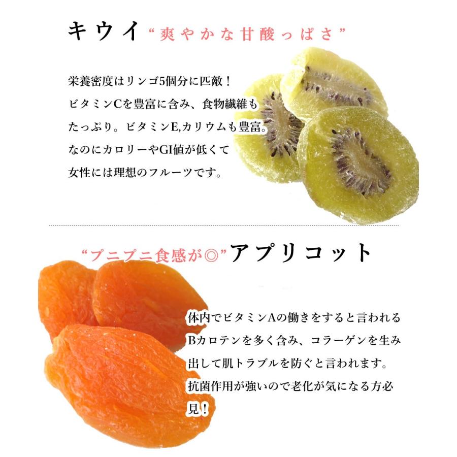 大地の生菓 ドライフルーツ 6種類のプレミアムミックス 100g 送料無料 オレンジ キウイ あんず レモン パイン クリスマス ギフト プレゼント 2023