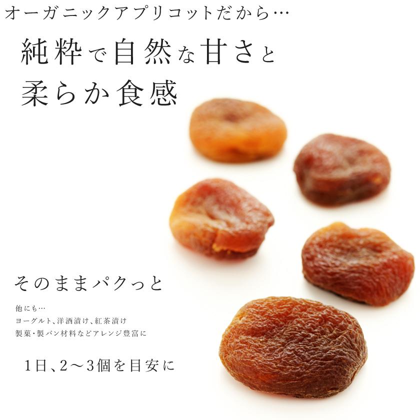 ドライアプリコット 100g 純粋 無加糖 無添加 無漂白 有機JAS認証 オーガニック 乾燥杏 干しあんず アンズ 種抜き ドライフルーツ 砂糖不使用 保存食 非常食