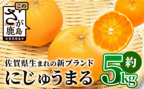 佐賀県生まれ 新ブランド 高級柑橘約5kg みかん 蜜柑 ミカン オレンジ 柑橘 フルーツ 果物 贈り物 贈答 プレゼント 高級 ブランド 限定 ギフト F-55