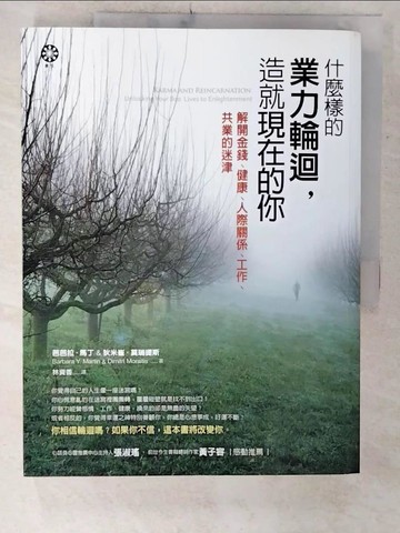 【書寶二手書T9／宗教_E9C】什麼樣的業力輪迴造就現在的你_芭芭拉．馬丁