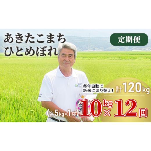 ふるさと納税 秋田県 にかほ市 〈定期便〉 あきたこまち＆ひとめぼれ 食べ比べ 白米 10kg（各5kg）×12回 計120kg 12ヶ月 令和5年 精米 土づくり実証米 毎年11…