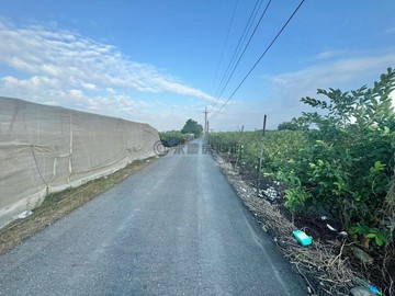 里港好規劃方正美濃地(8.5分)(A2J2)優質｜屏東縣里港鄉瀰力肚段