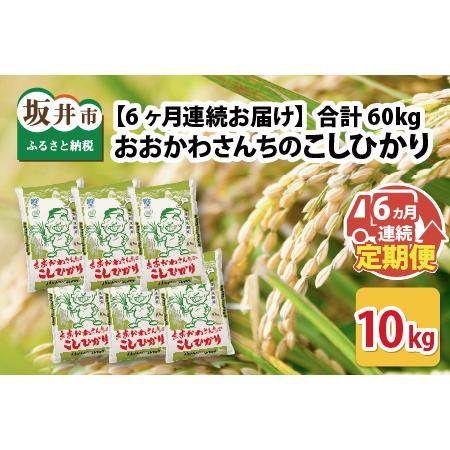 ふるさと納税 おおかわさんちのコシヒカリ 10kg × 6回 [I-10801] 福井県坂井市