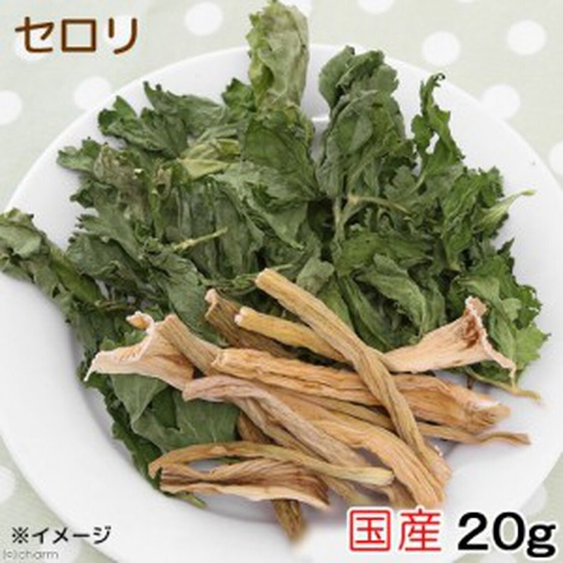 ｕｓａｙａｍａ 国産 セロリ ２０ｇ 小動物のおやつ ドライ野菜 うさぎ ハムスター 無添加 無着色 ハムスター 餌 通販 Lineポイント最大1 0 Get Lineショッピング