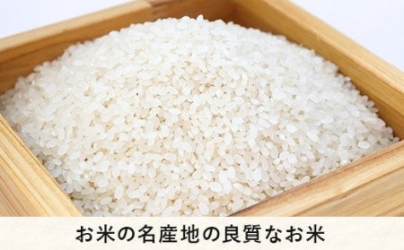 米 こしひかり 玄米 5kg × 6回 令和5年産 沖縄県への配送不可 2023年11月上旬頃から順次発送予定 米澤商店 コシヒカリ 玄米 長野県 飯綱町 [1354]