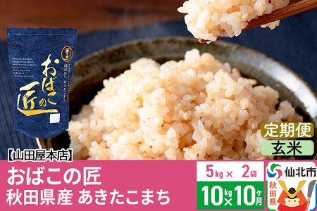 《定期便10ヶ月》令和5年産 仙北市産 おばこの匠 10kg×10回 計100kg 秋田県産あきたこまち 秋田こまち お米 10か月 10ヵ月 10カ月 10ケ月