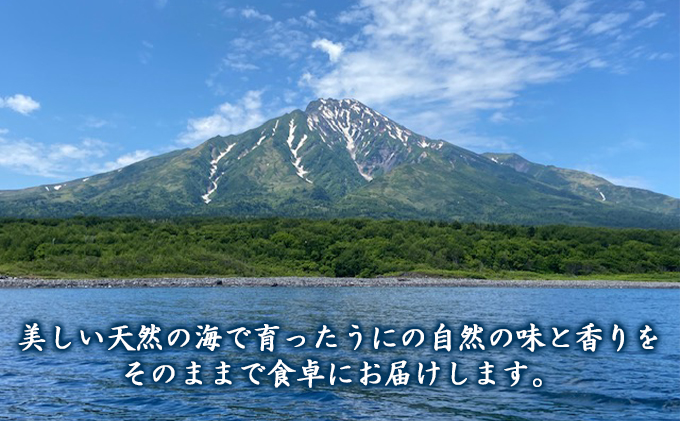 利尻島産 塩水 生うに ばふんうに100g×2■2024年6月より順次出荷■ 先行受付 ウニ 利尻