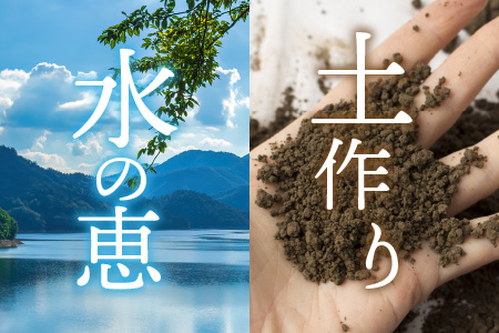 越前大野産 エコファーマー認定農家栽培 こしひかり 玄米 10kg × 3回 計30kg[E-001003_02]