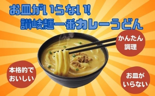 讃岐麺一番カレーうどん（305g）1食入×12袋×2箱