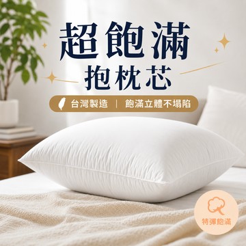 台灣製抱枕芯 抱枕 靠枕 沙發抱枕 蓬鬆飽滿 不塌陷 45x45 48x48 54x54 60x60  現貨 | 松果家