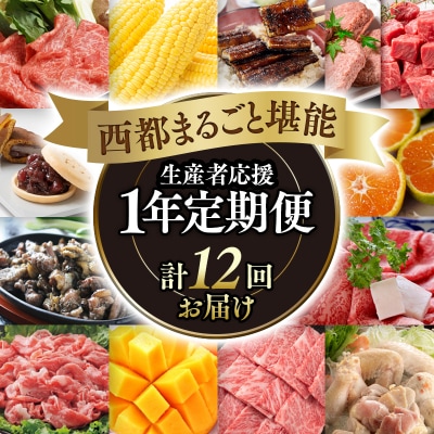 西都まるごと堪能セット(令和6年12ヶ月定期便)[1382]