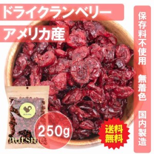 250g 送料無料 クランベリー ドライフルーツ 保存料不使用 無着色 国内製造 高品質 ヨーグルト 美容 食物繊維 ミネラル