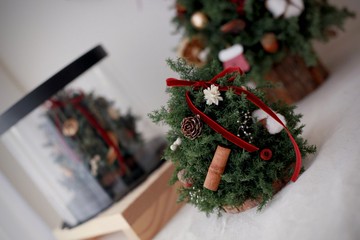 小型雪松聖誕樹 聖誕節 永生雪松 聖誕樹 永生花