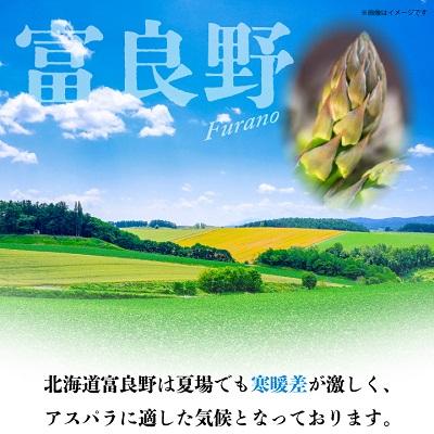 ふるさと納税 富良野市 2024年春出荷「生」で食べられる!北海道富良野産　グリーンアスパラ　1kg(SからLサイズ混合)