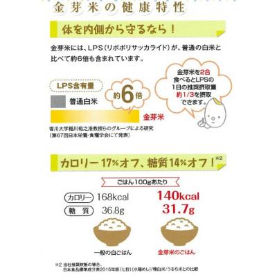 ふるさと納税 安来市 BG無洗米　金芽米つや姫　2kg