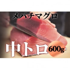 メバチマグロ 中トロ 600g(冷凍・サク)