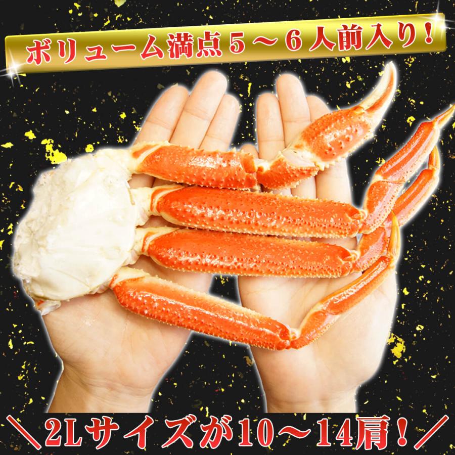 かに カニ ズワイガニ ボイル 蟹脚 総重量3kg 2Lサイズ 10〜14肩入り 送料無料 ずわいがに 鍋 贈答 プレゼント 最安値に挑戦