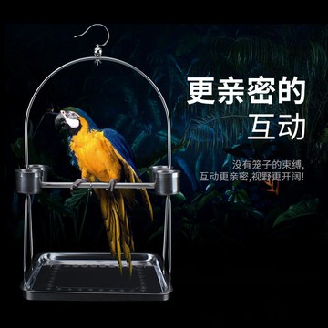 免運/可開票 快速出貨 不銹鋼鸚鵡站架中小型大型鳥架子玄鳳虎皮八哥鳥籠腳環腳鏈鳥鏈子